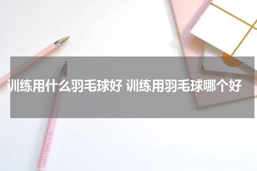 训练用什么羽毛球好 训练用羽毛球哪个好