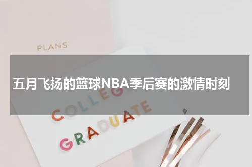五月飞扬的篮球NBA季后赛的激情时刻