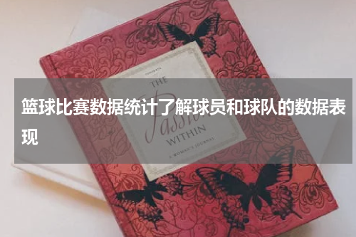 篮球比赛数据统计了解球员和球队的数据表现